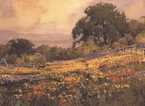 unknow artist California landscape oil painting picture